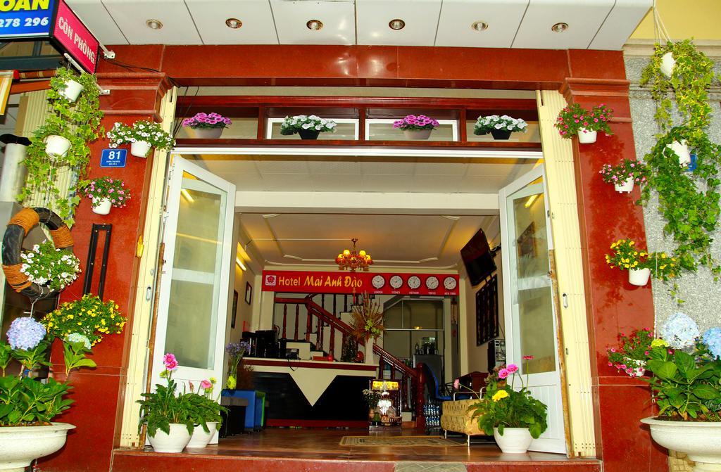 Mai Anh Dao Hotel Dalat Rum bild